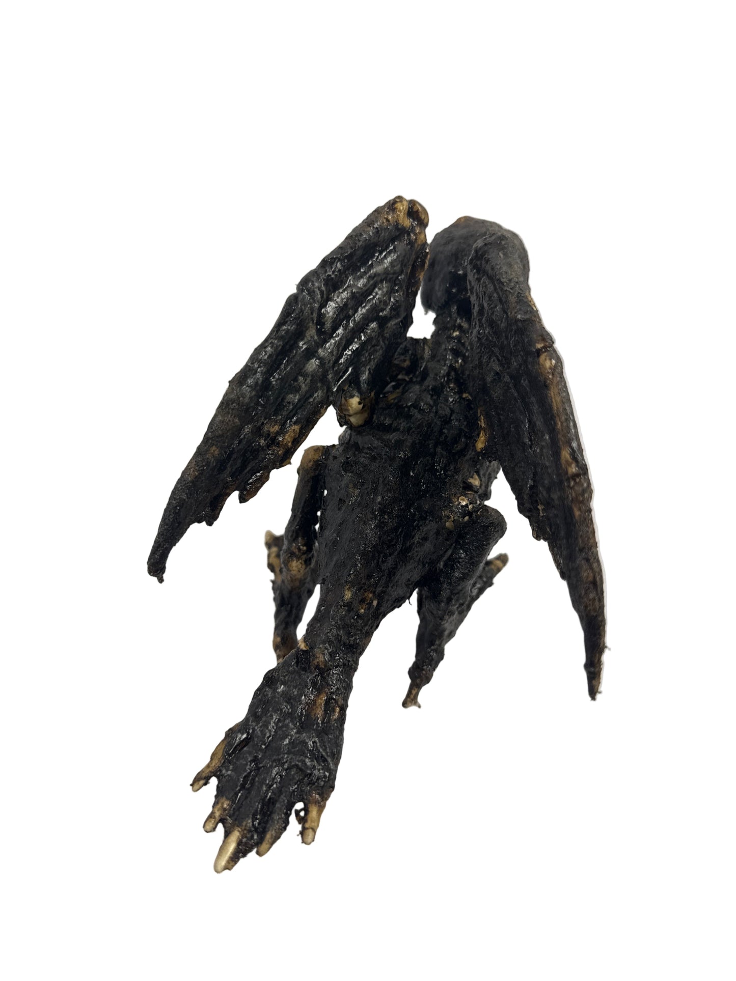 Corpse Bird
