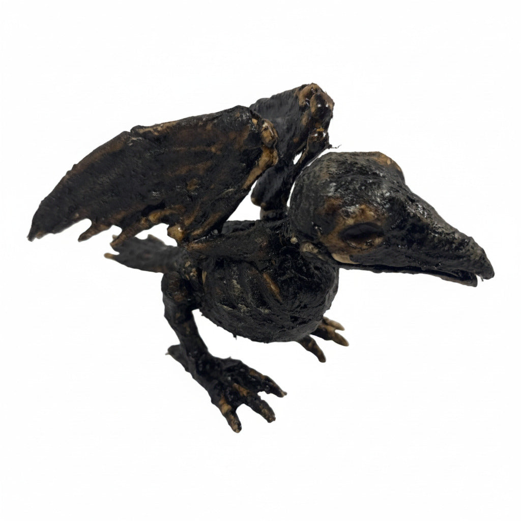Corpse Bird